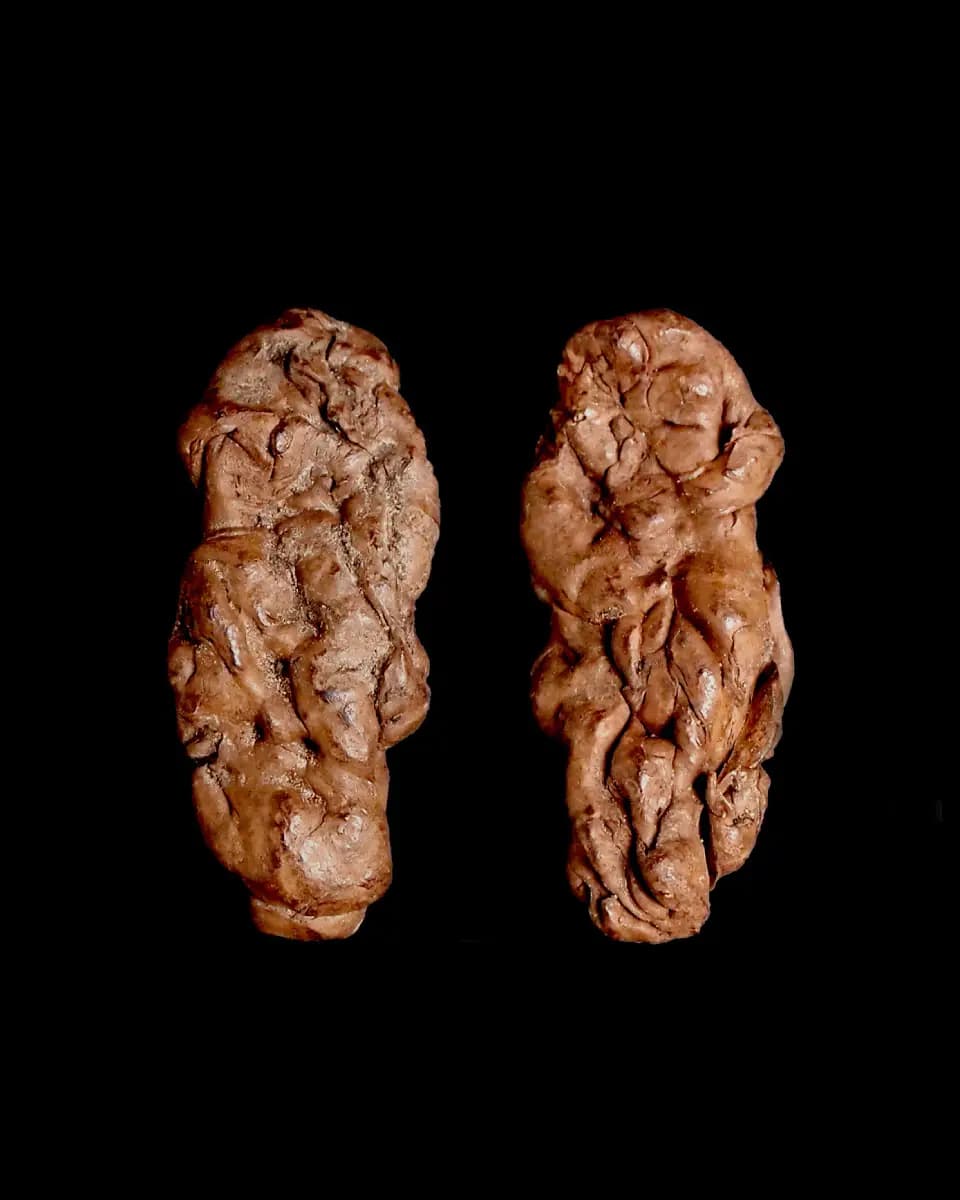 Gomma da masticare in pece di betulla - Archivio SABAP