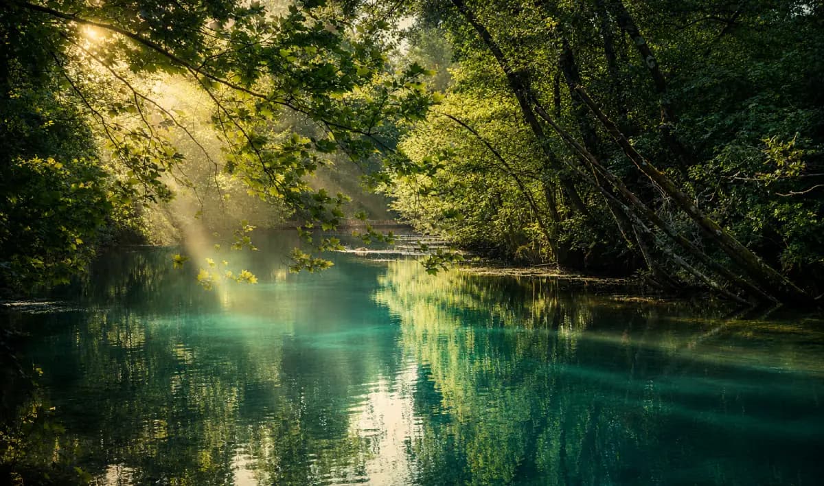 scorcio di natura