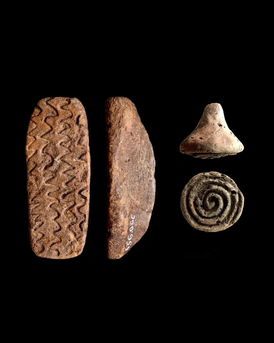 stampi