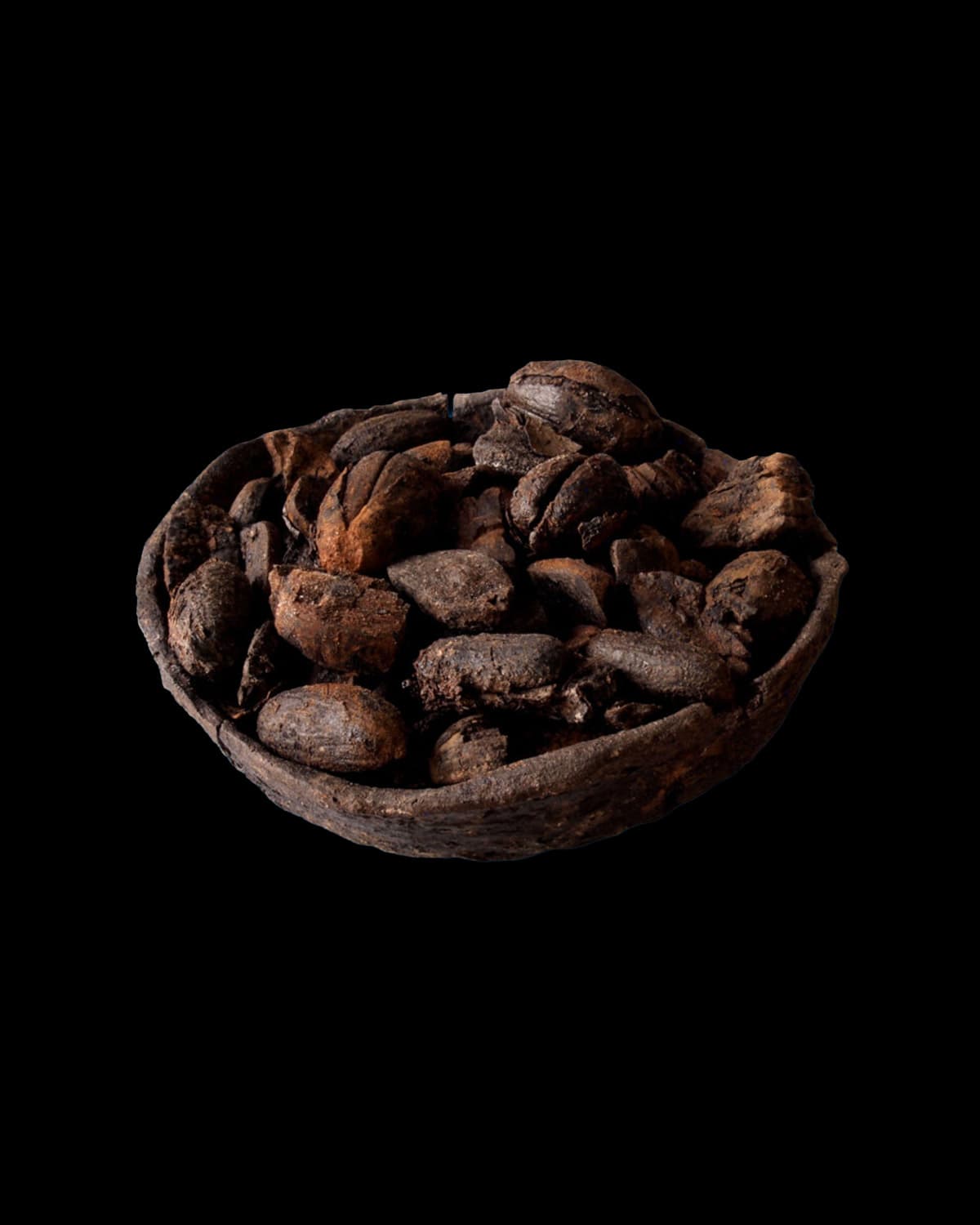 Ciotola in ceramica d’impasto con ghiande perfettamente conservate - Archivio SABAP